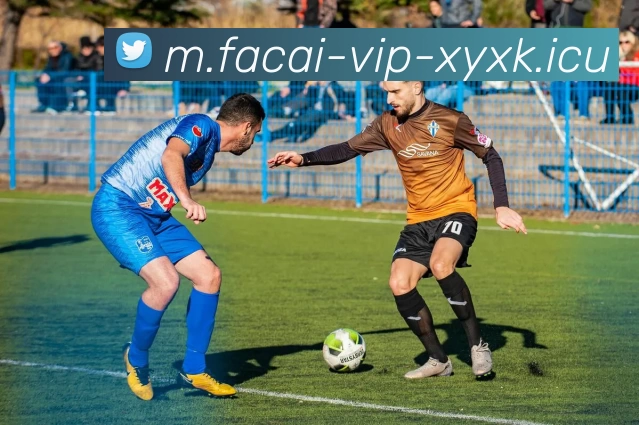 九游体育APP 封面图